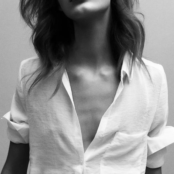 Meet your Posher, Wren - Picture 1 of 1